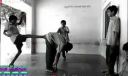 艹比视频,揭秘网络热梗背后的文化现象